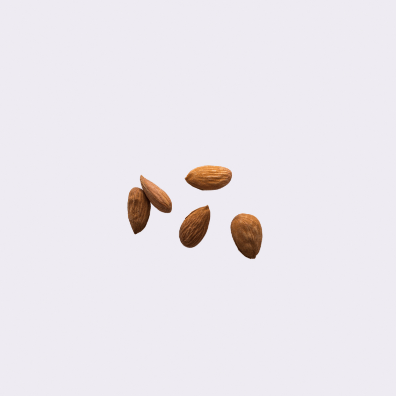 نواة المشمش المجففة
